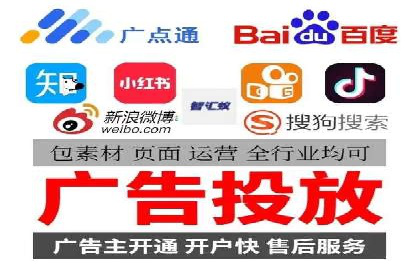网络推广与竞价优化成功案例